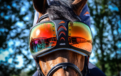 eVysor: Maximale bescherming en comfort voor het paardenoog